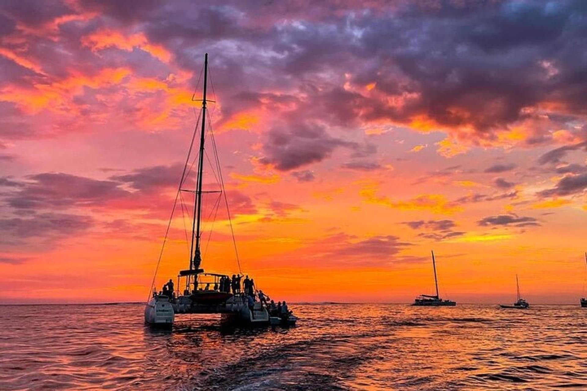 catamaran01