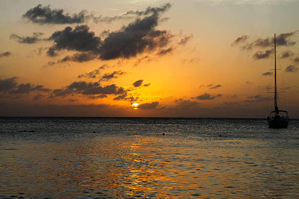 catamaran03